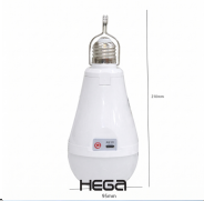 Hanging Bulb